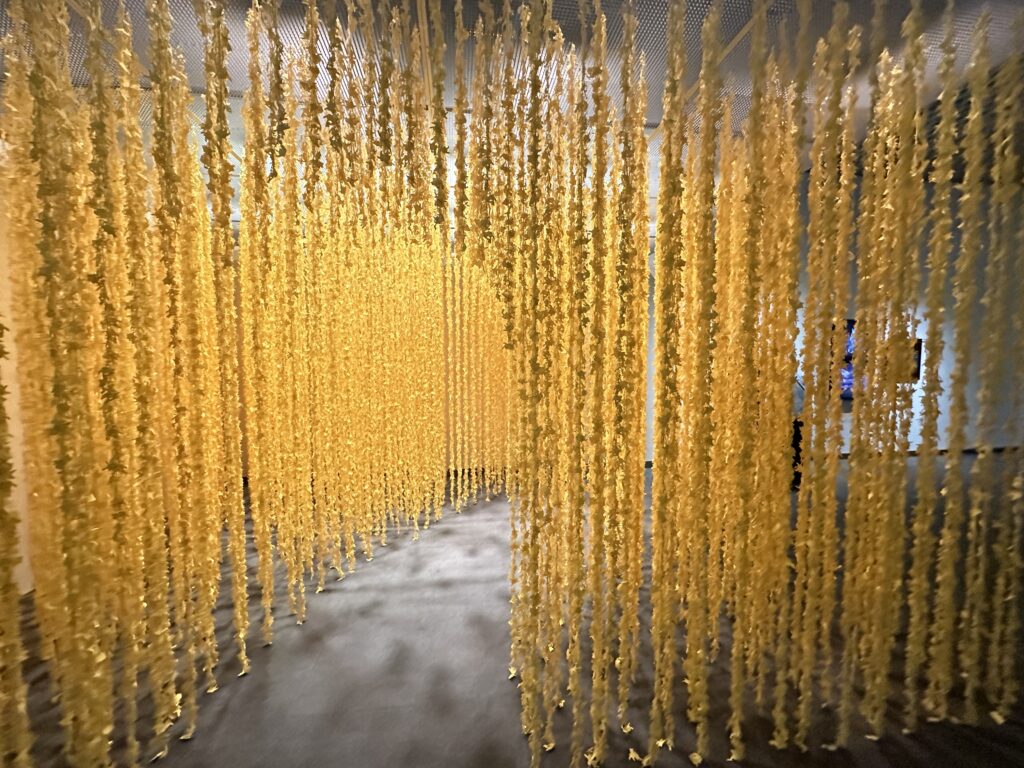 ポケモン×工芸展-美とわざの大発見-体験談 ピカチュウの森 須藤玲子